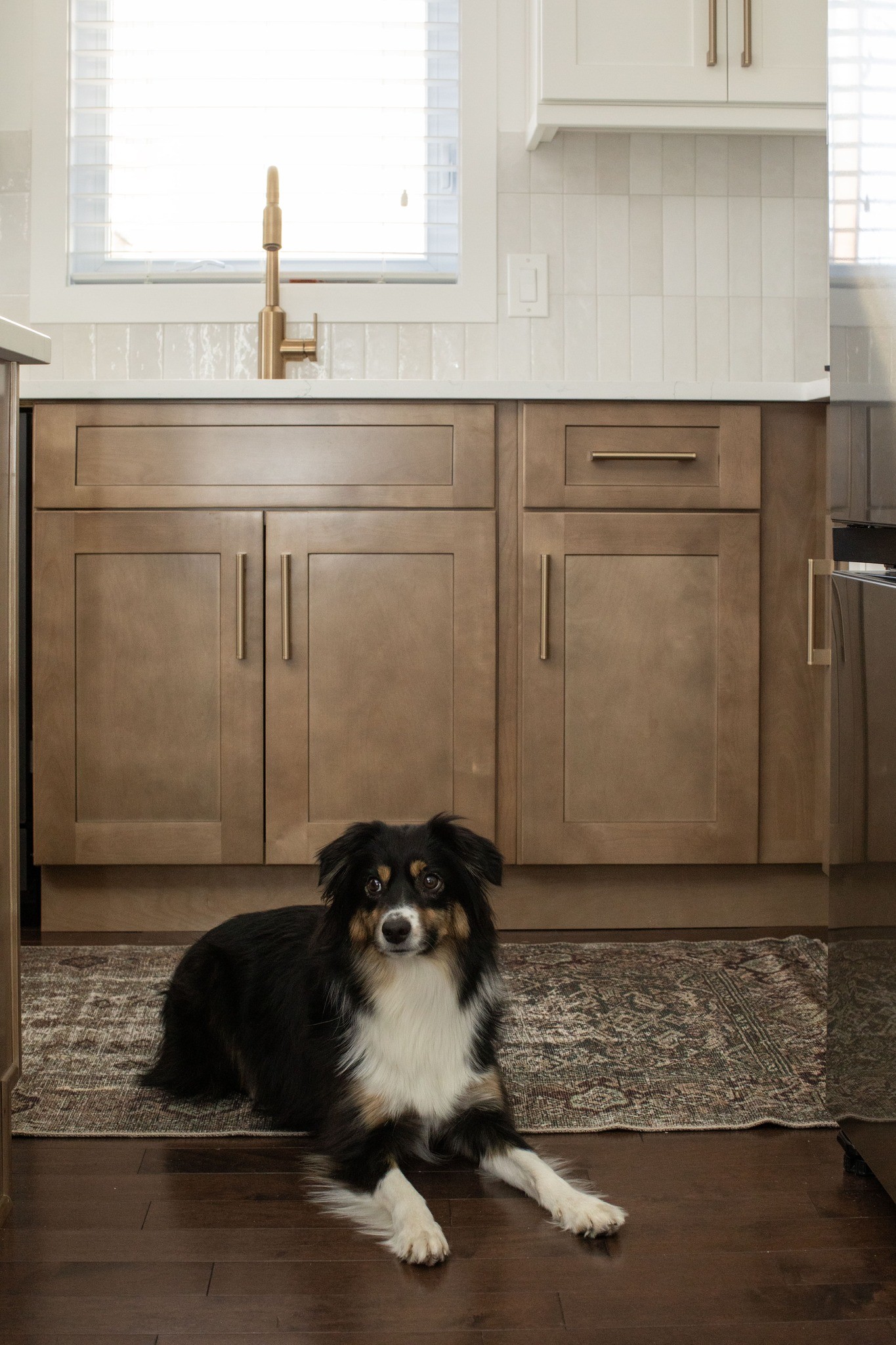 802 Cabinetry kitchen installation, lifestyle photo
