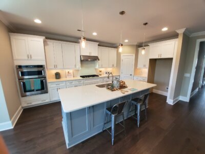 Kitchen Cabinet Gallery photo 18